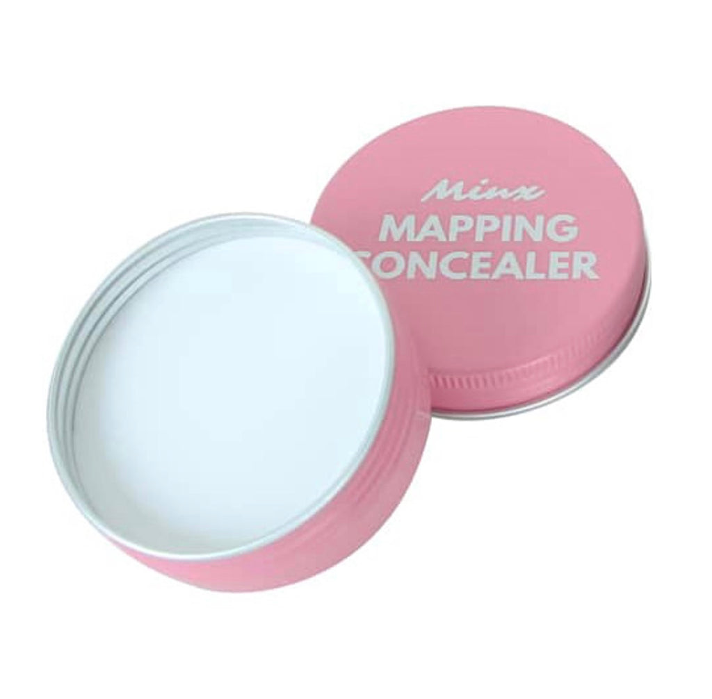 Minx PMU Mapping Concealer Paste - Pink Tin